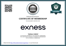 Unlocking Profits The Power of Exness Copy Trading Unlocking Profits The Power of Exness Copy Trading